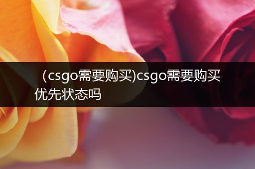 （csgo需要购买)csgo需要购买优先状态吗