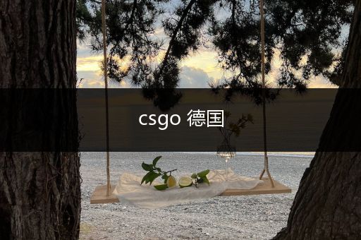 csgo 德国