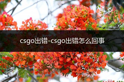 csgo出错-csgo出错怎么回事