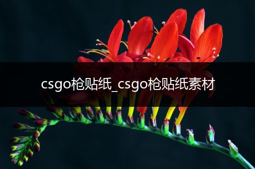 csgo枪贴纸_csgo枪贴纸素材