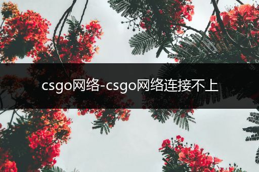 csgo网络-csgo网络连接不上