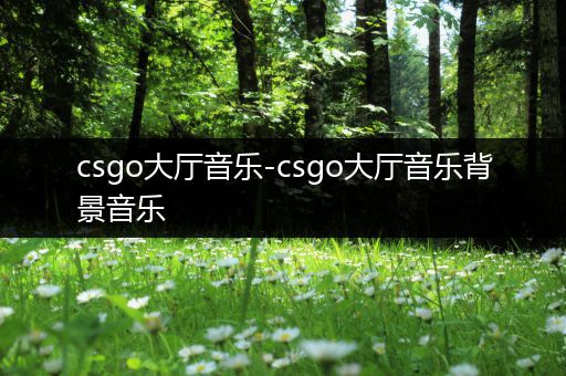 csgo大厅音乐-csgo大厅音乐背景音乐