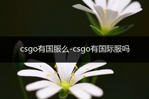 csgo有国服么-csgo有国际服吗