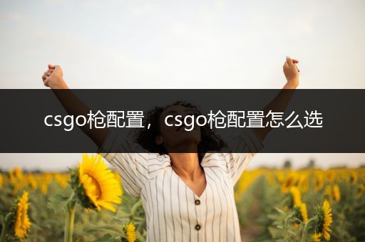 csgo枪配置，csgo枪配置怎么选