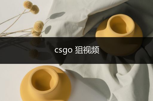 csgo 狙视频