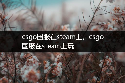 csgo国服在steam上，csgo国服在steam上玩