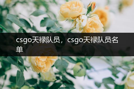 csgo天禄队员，csgo天禄队员名单