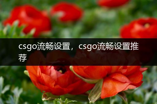 csgo流畅设置，csgo流畅设置推荐