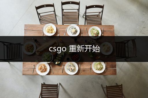 csgo 重新开始