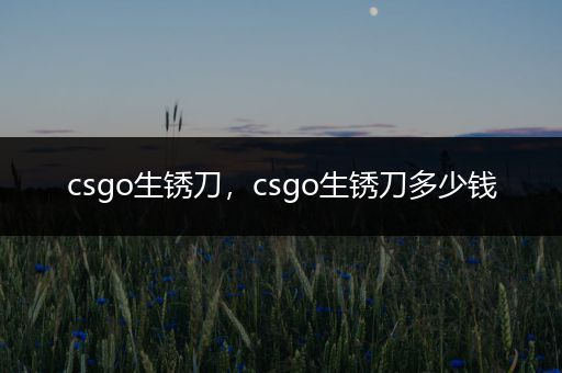 csgo生锈刀，csgo生锈刀多少钱