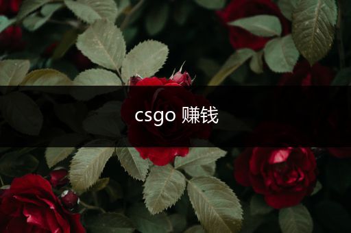 csgo 赚钱