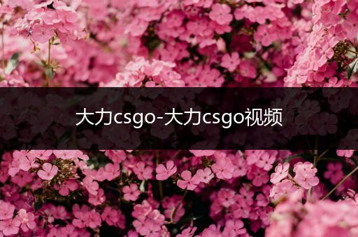 大力csgo-大力csgo视频