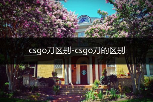 csgo刀区别-csgo刀的区别