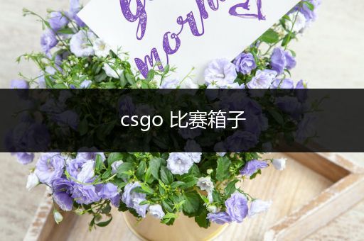 csgo 比赛箱子