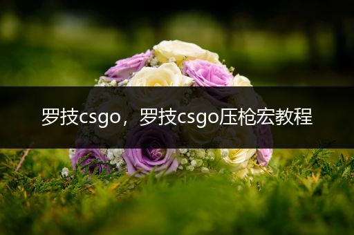 罗技csgo，罗技csgo压枪宏教程