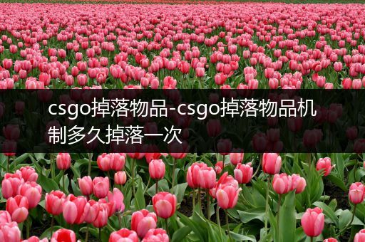 csgo掉落物品-csgo掉落物品机制多久掉落一次