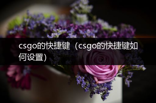 csgo的快捷键（csgo的快捷键如何设置）