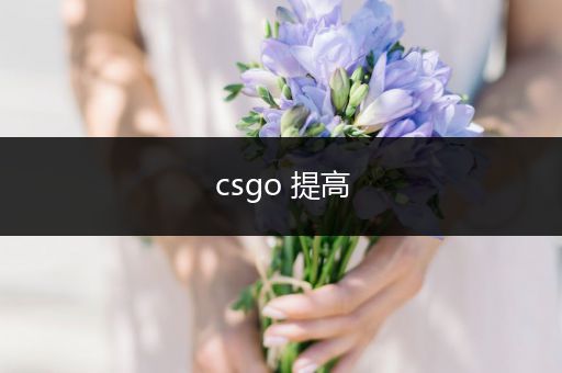 csgo 提高