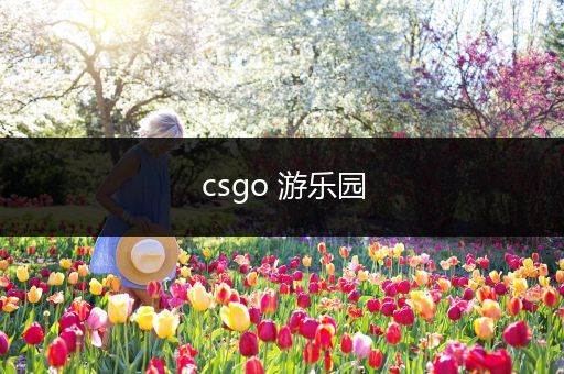 csgo 游乐园