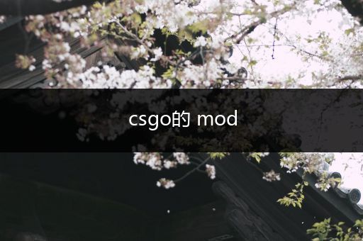 csgo的 mod