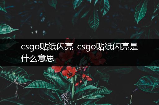 csgo贴纸闪亮-csgo贴纸闪亮是什么意思