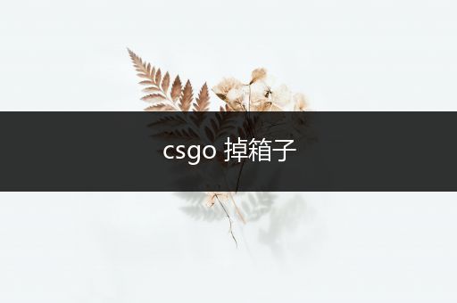 csgo 掉箱子