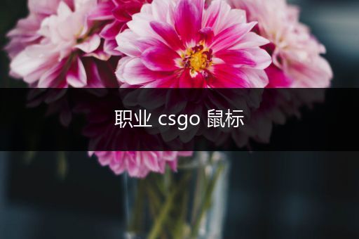 职业 csgo 鼠标