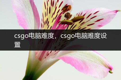 csgo电脑难度，csgo电脑难度设置