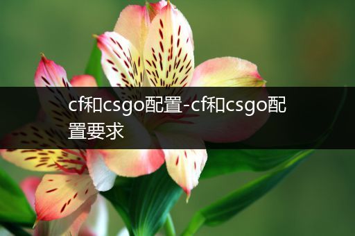 cf和csgo配置-cf和csgo配置要求