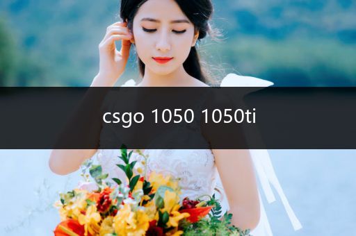 csgo 1050 1050ti