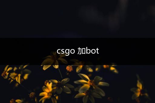 csgo 加bot