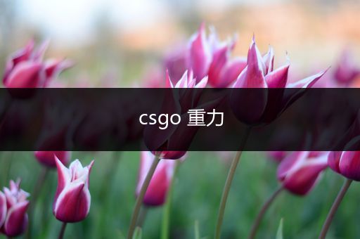 csgo 重力