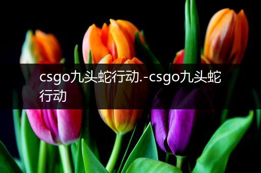 csgo九头蛇行动.-csgo九头蛇行动