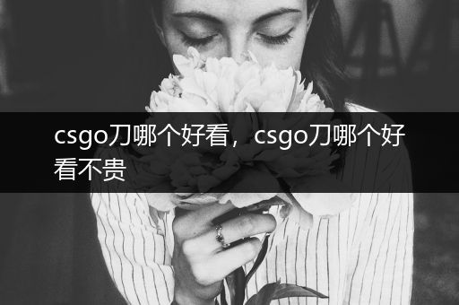 csgo刀哪个好看，csgo刀哪个好看不贵