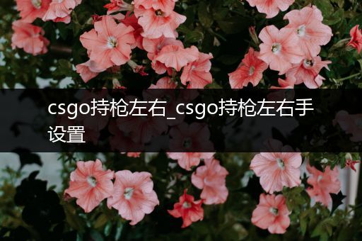 csgo持枪左右_csgo持枪左右手设置