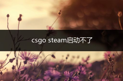 csgo steam启动不了