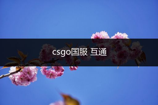 csgo国服 互通