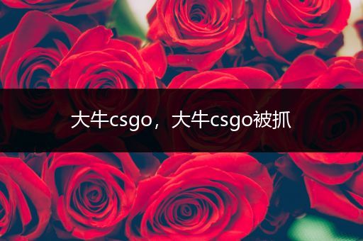 大牛csgo，大牛csgo被抓