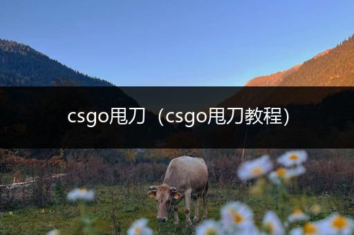 csgo甩刀（csgo甩刀教程）