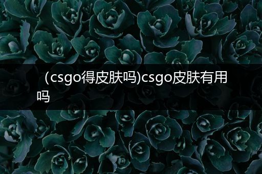 （csgo得皮肤吗)csgo皮肤有用吗