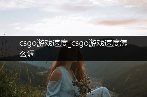 csgo游戏速度_csgo游戏速度怎么调