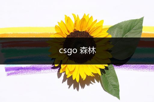 csgo 森林