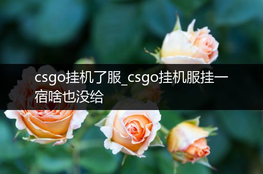 csgo挂机了服_csgo挂机服挂一宿啥也没给