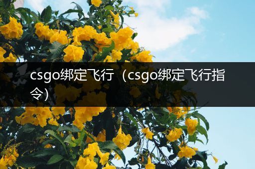 csgo绑定飞行（csgo绑定飞行指令）