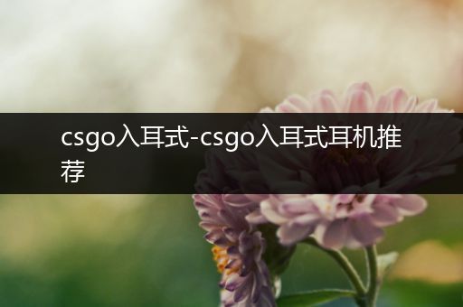 csgo入耳式-csgo入耳式耳机推荐