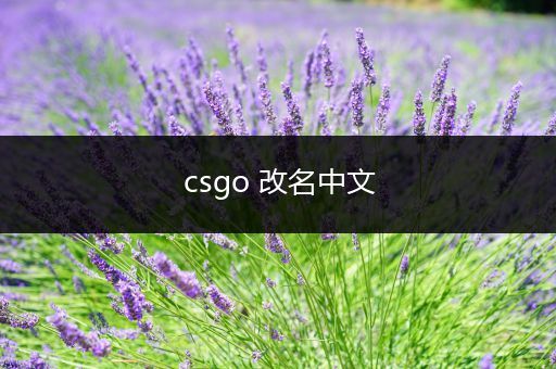 csgo 改名中文