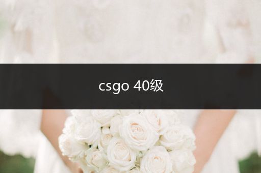 csgo 40级