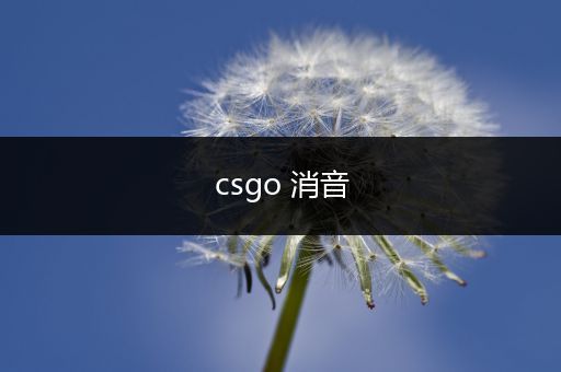 csgo 消音