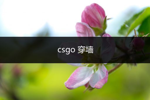 csgo 穿墙