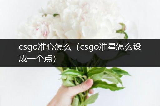 csgo准心怎么（csgo准星怎么设成一个点）